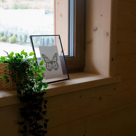 Vakantiehuis Domki Falsztyn