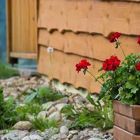 Domki Falsztyn Vakantiehuis *