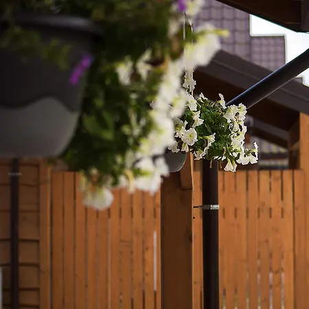 Domki Falsztyn Vakantiehuis