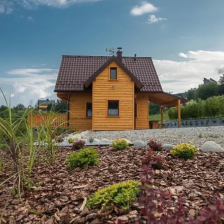 Vakantiehuis Domki Falsztyn