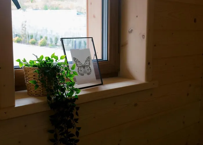 度假居 Domki Falsztyn